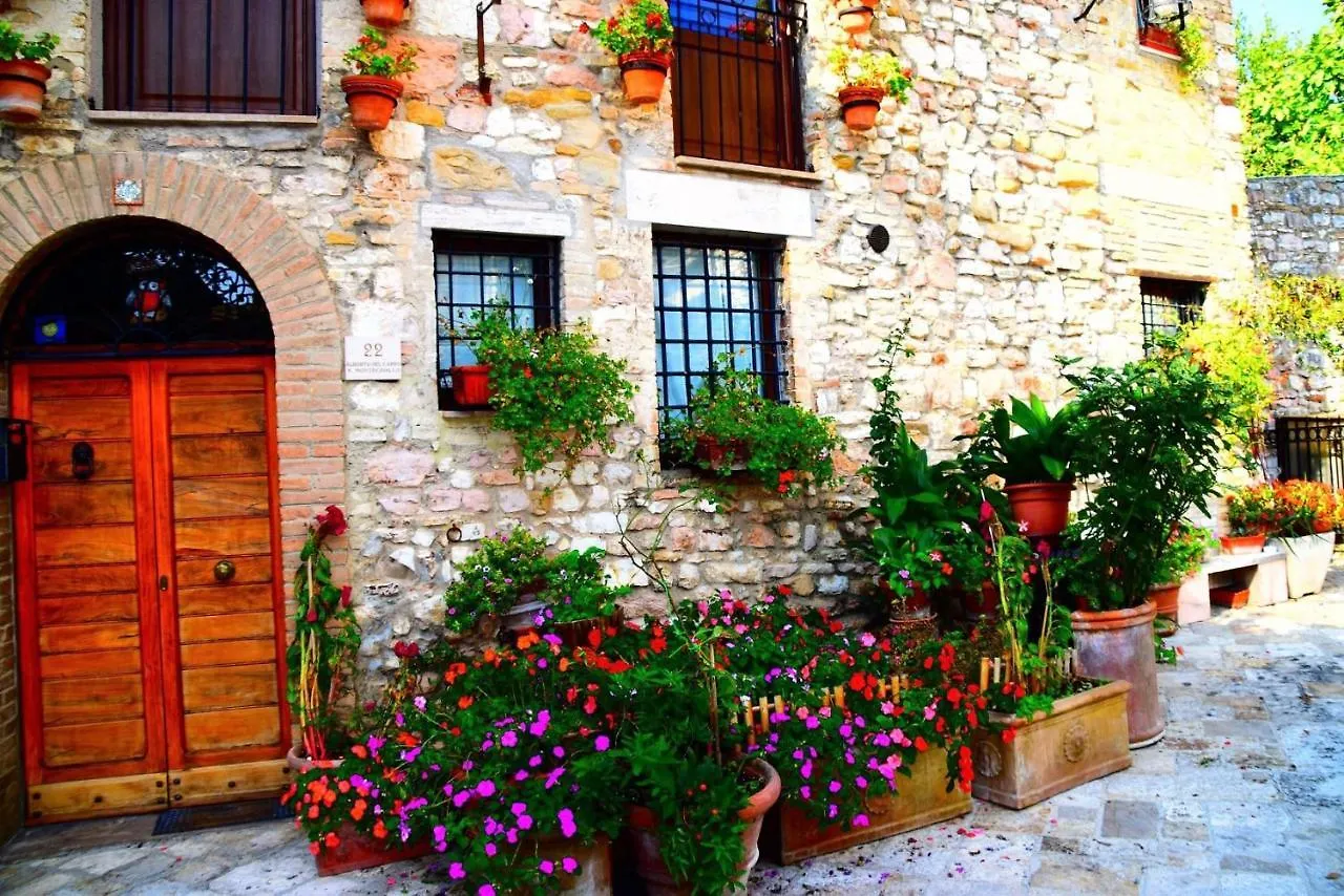 Apartments Aurora Delle Rose Asyż